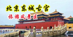 硬挺抽插奸淫粗大肛交无码中国北京-东城古宫旅游风景区